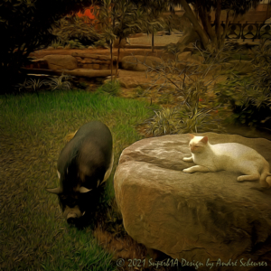 Artworks - Idyllisches Miteinander - Katze und Minipig in einem Garten in Lima (Peru) - November 2021